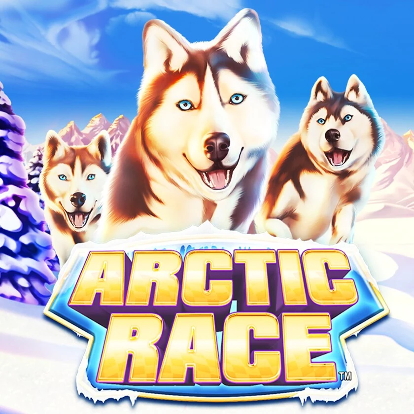 Arctic Race